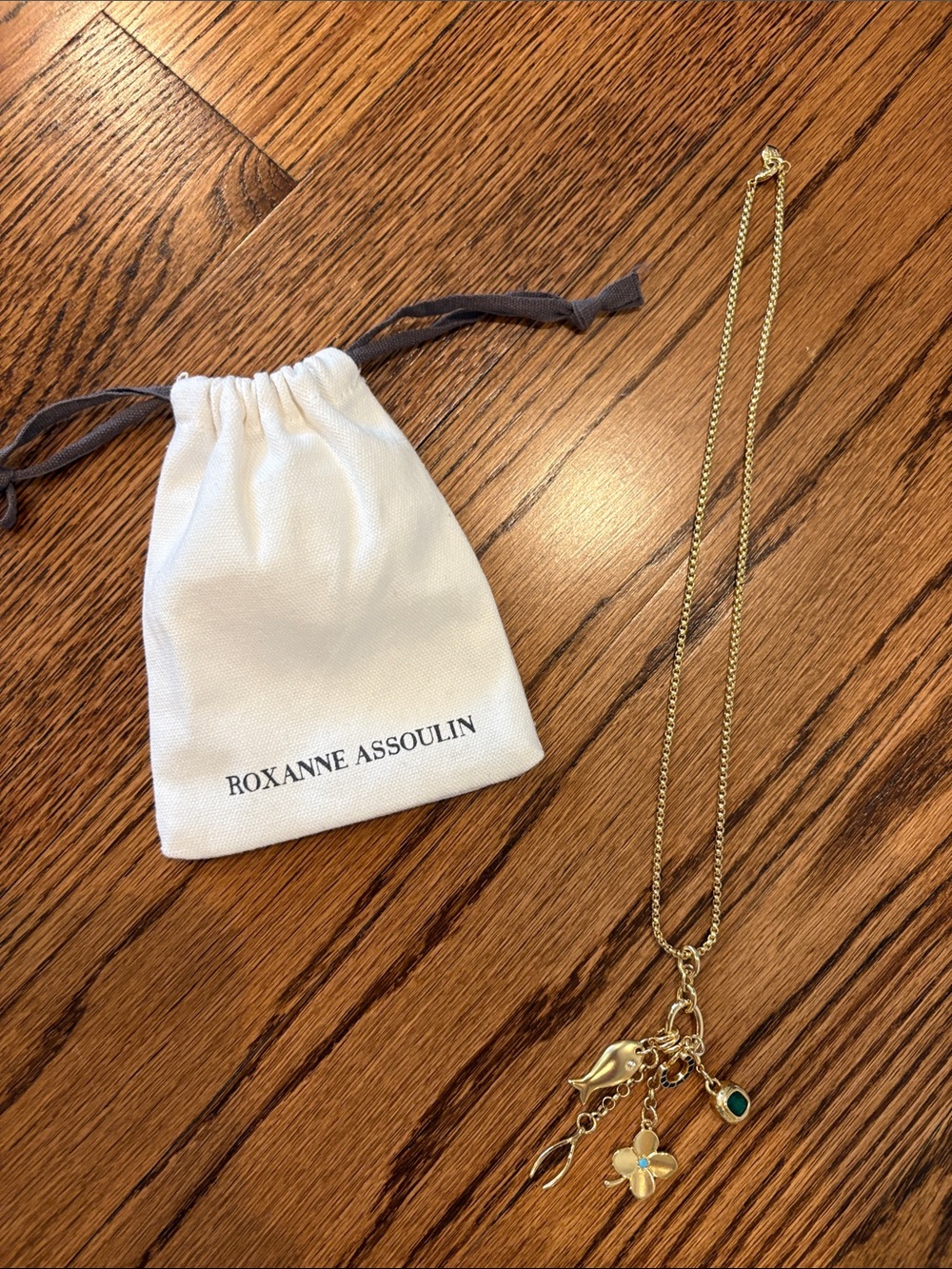 Roxanne Assoulin Gold Necklace with Charms